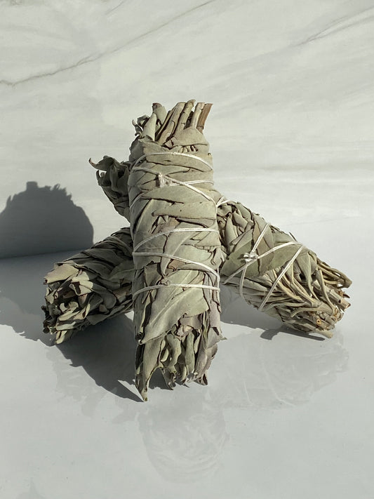 White Sage / Smudge Stick 5-6"