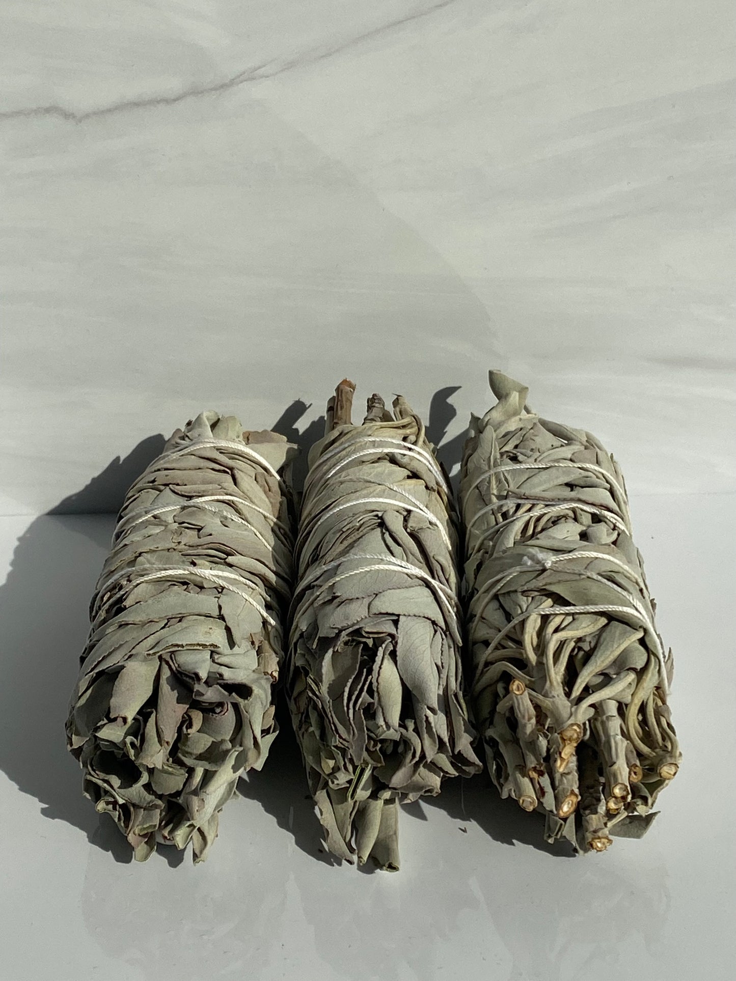 White Sage / Smudge Stick 5-6"